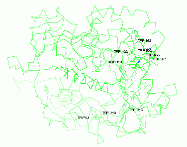 Trp s