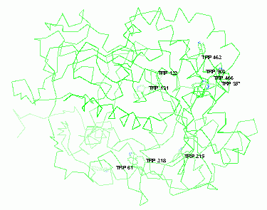 Trp s